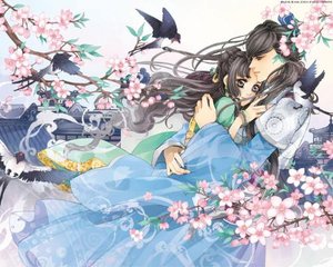 狼有视频导航跳转